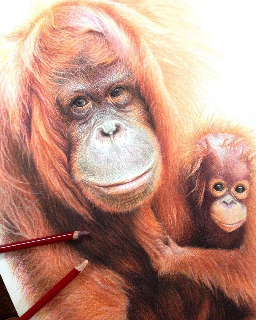 Realistic Baby Animals Drawings