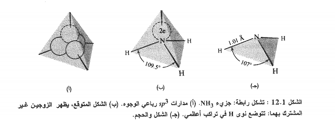 يشبه التروجين في الأمونيا الكربون في الميتان؛ فتهجين النتروجين هو sp3، ولكن نرى من الجدول (11) أن النتروجين لا يملك سوى ثلاثة الكترونات غير متزاوجة، تحتل ثلاثة مدارات هجينة  sp3، ويؤدي التراكب بين كل مدار من هذه المدارات الثلاثة مع مدار و لذرة هيدروجين، إلى تشكيل الأمونيا (الشكل 12.1 ). أما المدار الرابع sp3 للنتروجين فيحتوي على زوجين من الالكترونات.