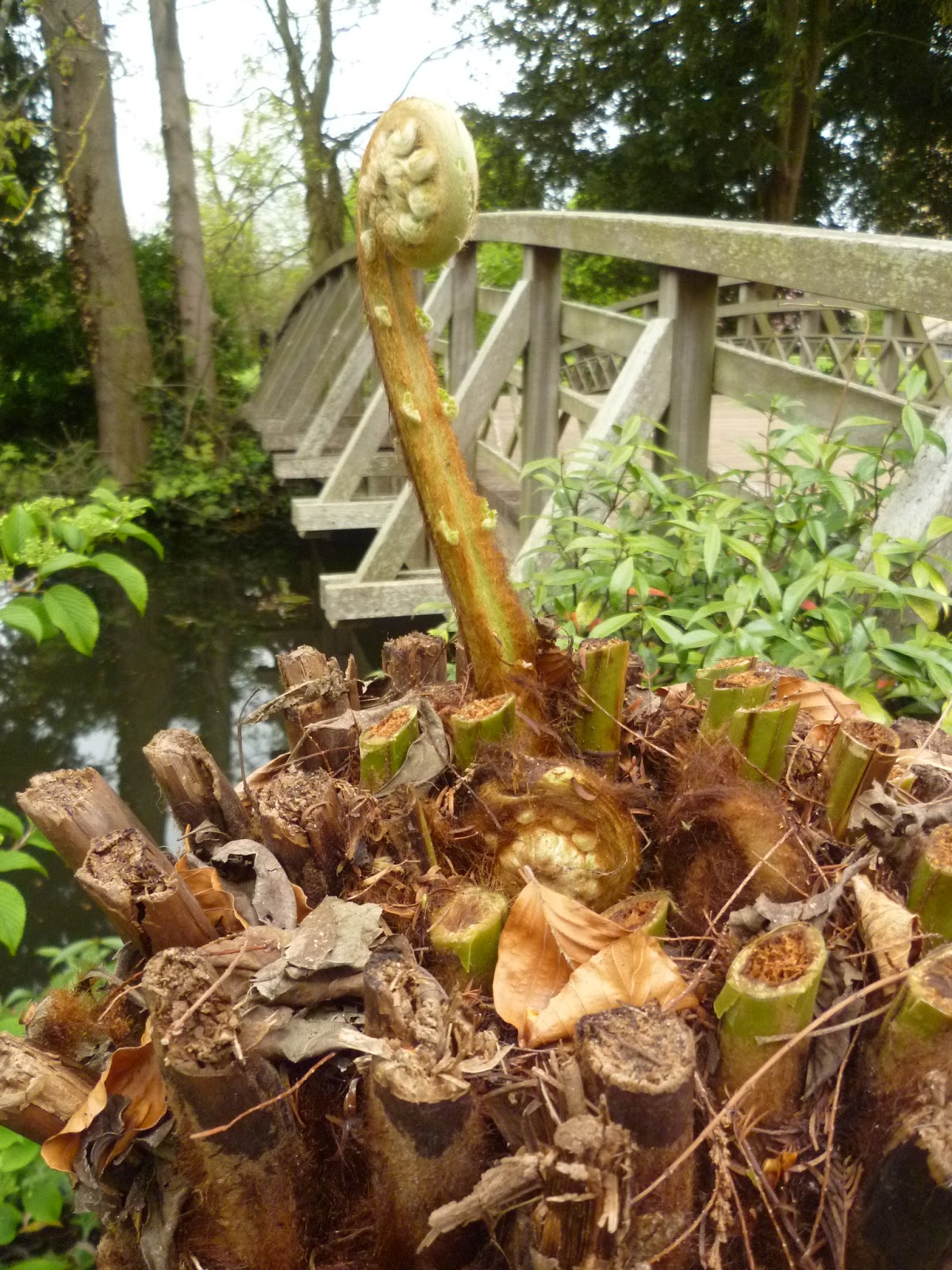 Worcester College Gardeners 20092018 A New Irrigation System For The