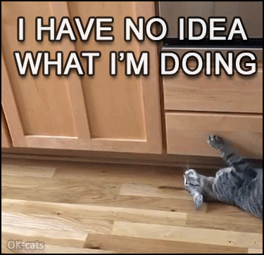 Art Cat GIF with caption • MEME • Crazy cat in the kitchen "I have no idea what I'm doing" Haha you mad