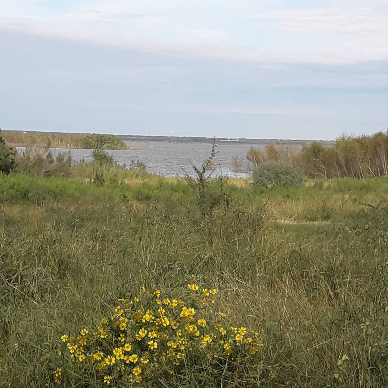 Adventures of Skittles & me Choke Canyon State Park