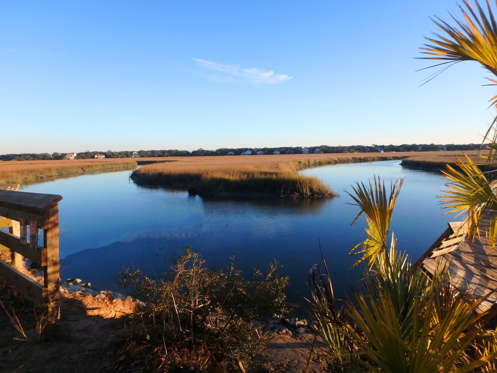 PAMPERED PENGUIN January 23, 2018 Edisto Beach, South Carolina
