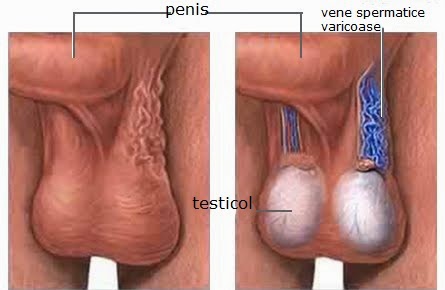 Mărirea penisului în mod natural prin exerciții pentru masajul penisului