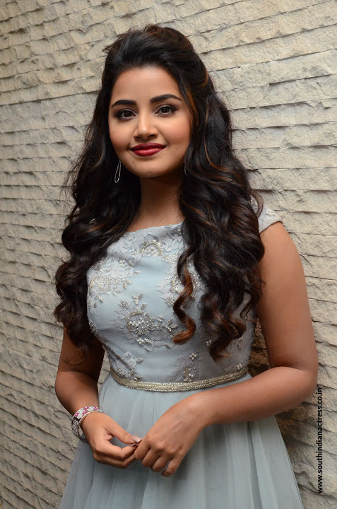 Anupama Parameswaran at Vunnadi Okate Zindagi Pre Release