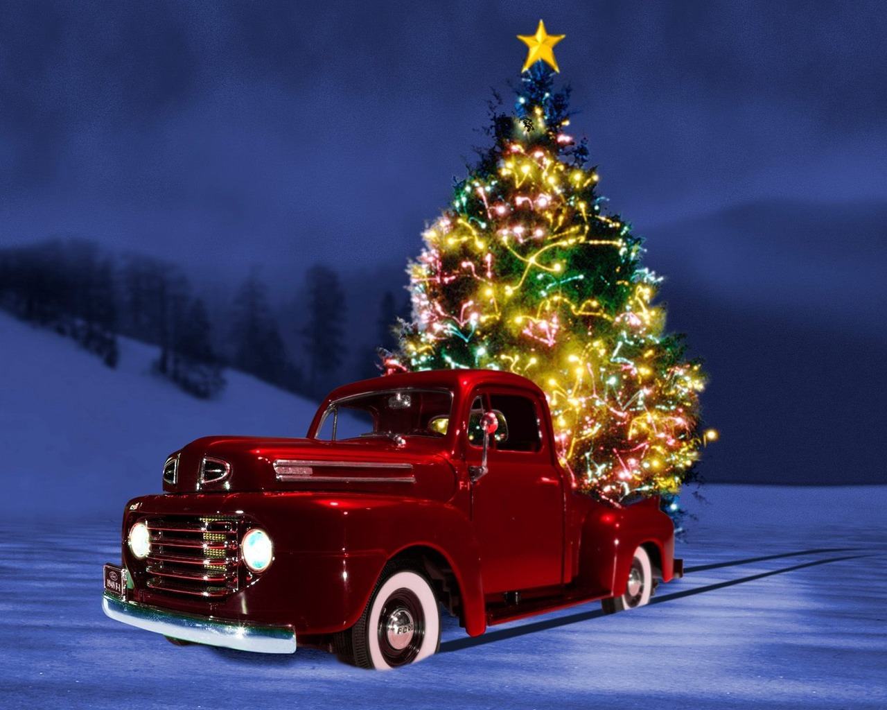Free Picture photography,Download Portrait Gallery: Christmas pictures