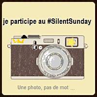 http://www.londrespourlesenfants.com/blog/ma-semaine-instagram/silent-sunday-179.html