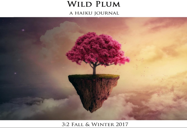 WILD PLUM 3:1, Fall & Winter 2017