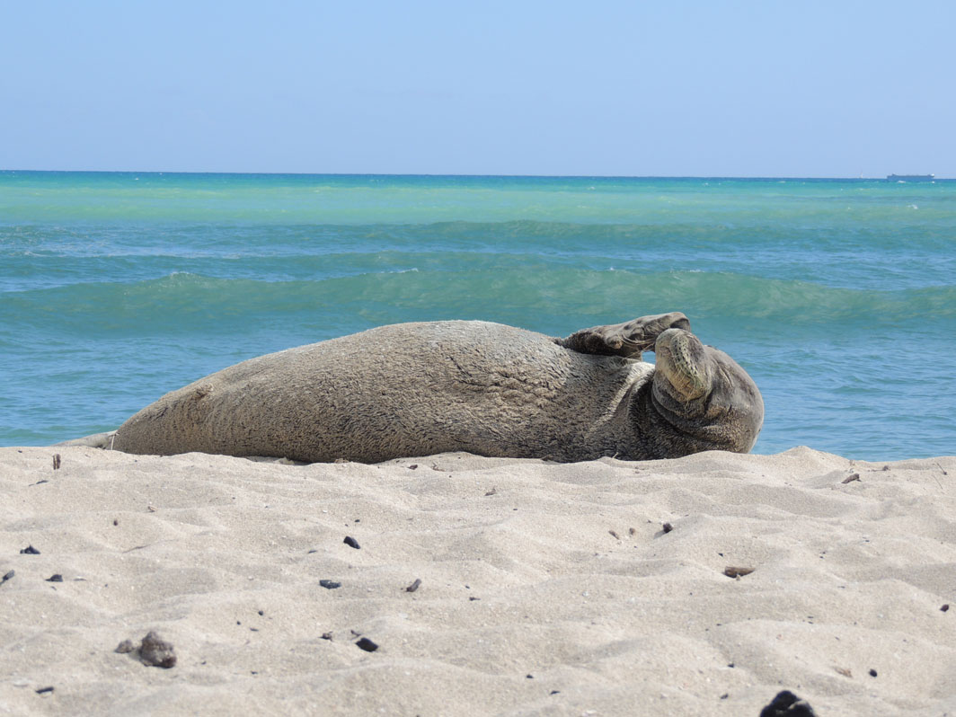 4192012 DB's Dailies