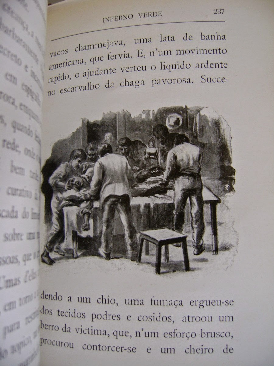 Bibliomania - Byblyomania: Serie livros sobre a Amazônia - INFERNO ...