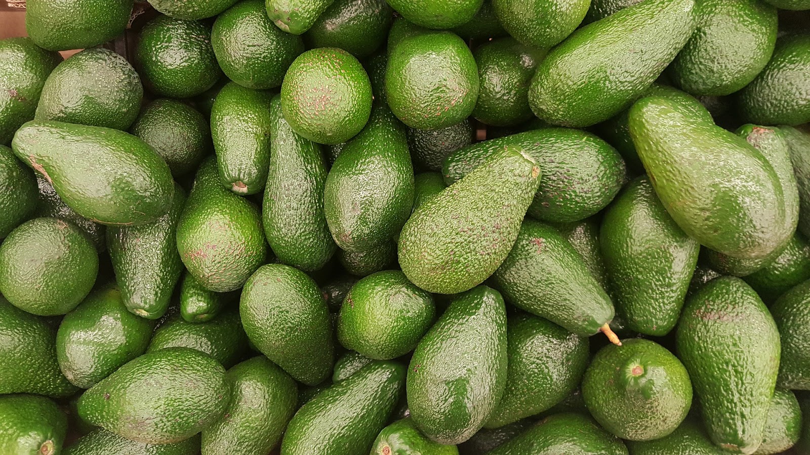 Aguacate. 10 claves de porque introducirlo en tu dieta