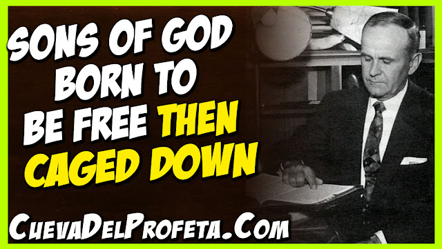 Sons of God born to be free then caged down - William Marrion Branham Quotes