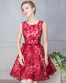 Crimson/Red Lace Embroidery Flare Cocktail Dress