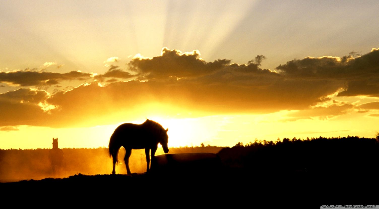 Sundown On The Farm HD desktop wallpaper  Widescreen  High
