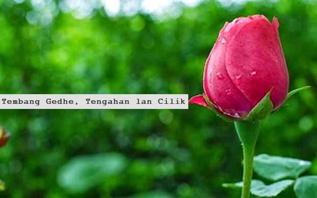 Tembang Gedhe, Tengahan lan Cilik Beda Arti ~ Kejawen Wetan
