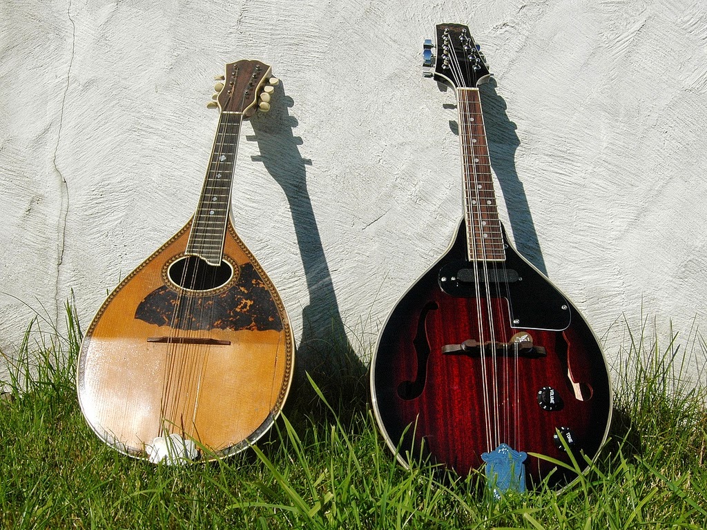 This Week in Dude I Want to Start a Mandolin Rock Band