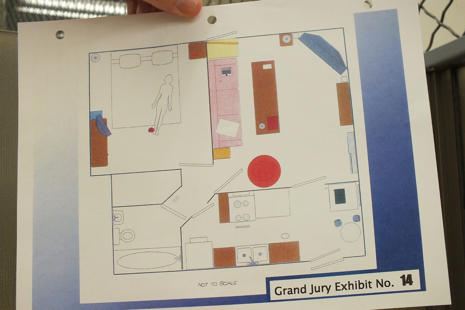 Trials & Tribulations Kelly Soo Park Case Exhibits & Potential Cases