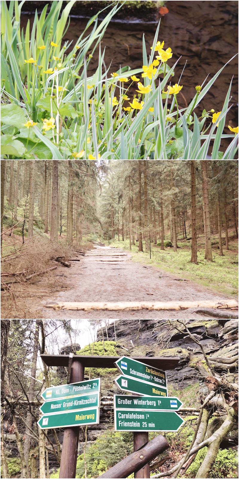 Namida Magazin Nach Der Absage Der Leipziger Buchmesse Wie Ihr