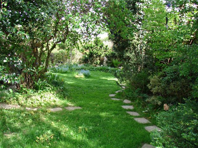 Maite's Garten Mein grüner Garten im Frühjahr