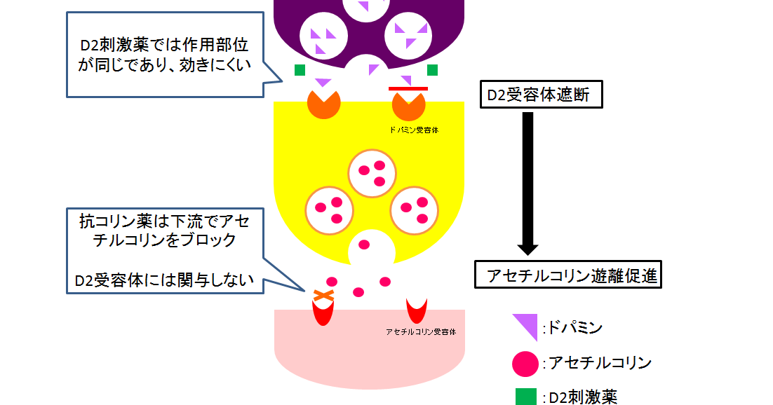 薬剤性パーキンソニズムにD2刺激薬は無効？ 抗コリン、抗ヒスタミン薬の有効性薬局業務NOTE