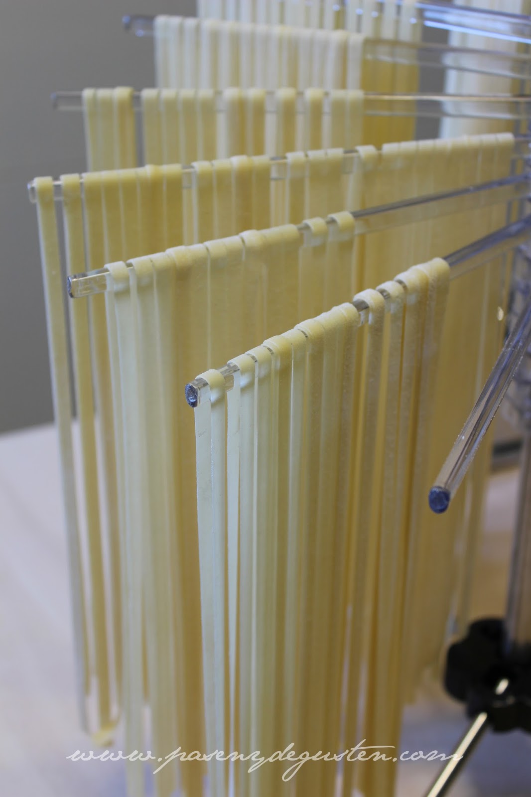 Secado Conservacion Congelacion Y Coccion De La Pasta Fresca Pasen Y Degusten