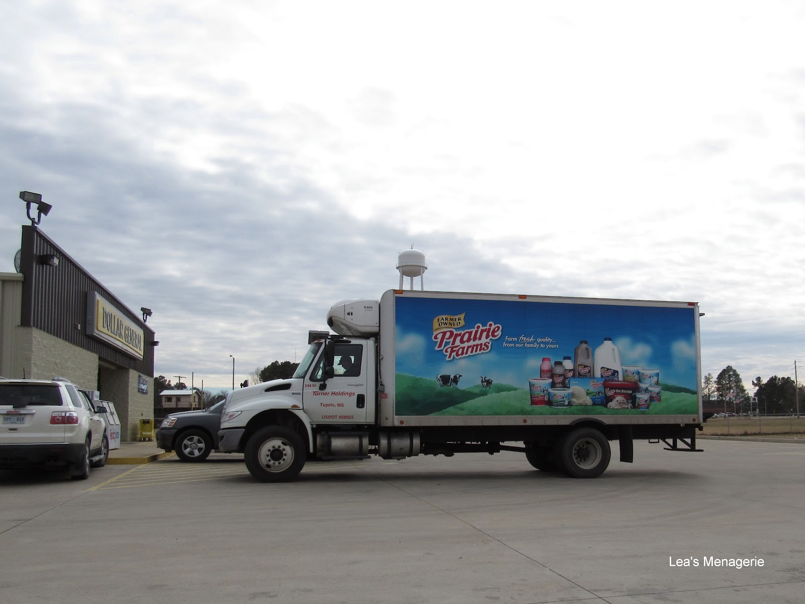 Lea's Menagerie Prairie Farms, February 29, 2016