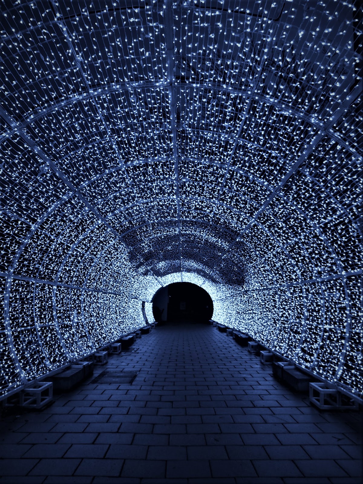 Image result for tunnel of light norwich