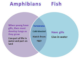 Learning Ideas - Grades K-8: Comparing Animals with Venn Diagrams