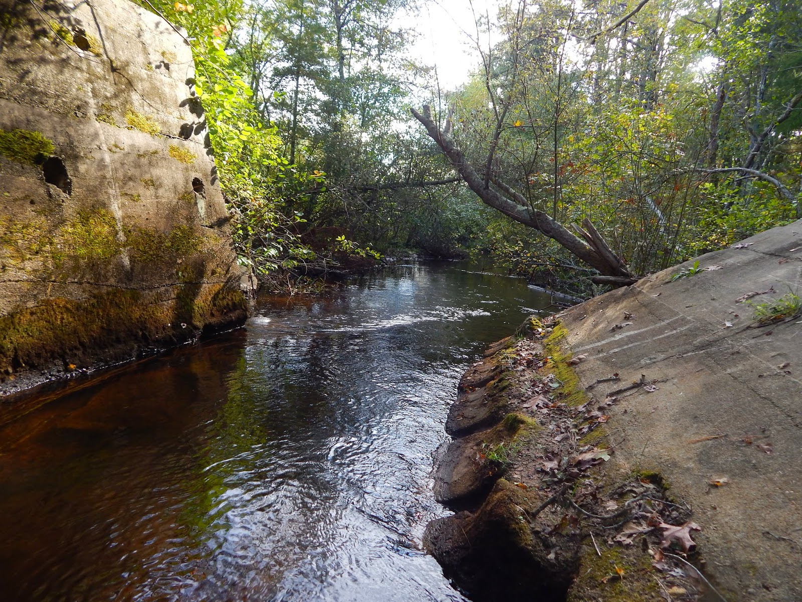 Small Stream Reflections The Brook Trout Streams Of Coastal Massachusetts