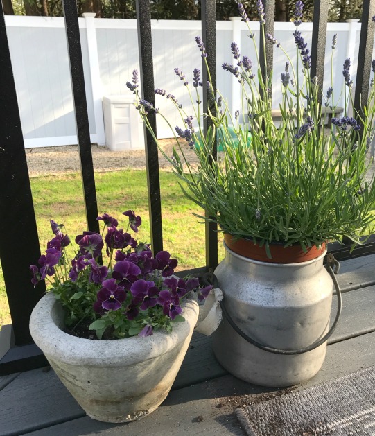 planters with flowers