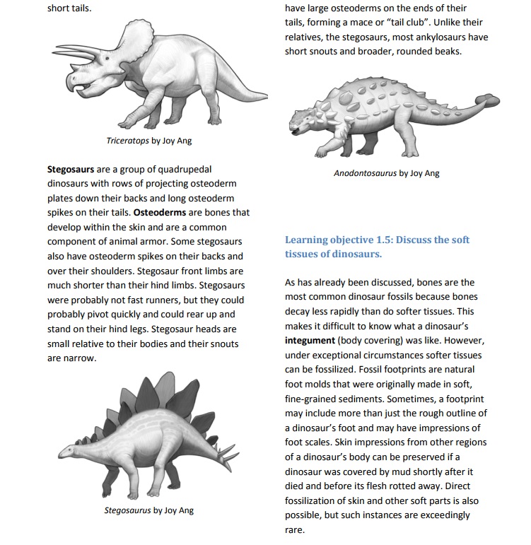 Сказки для детей динозавр читать. Динозавр читает. Вопросы про динозавров. Вопросы и ответы. Динозавры.