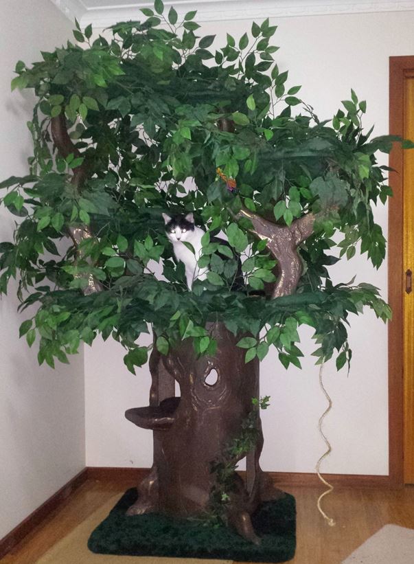FairyTale Cat Trees