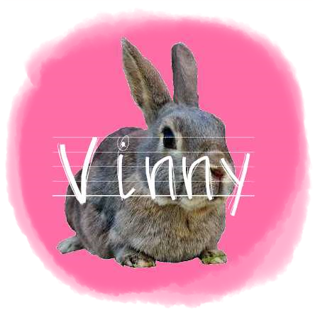 http://rabbitrubbish.blogspot.fi/p/vinny.html