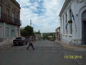 Vista de Carmen de Patagones.