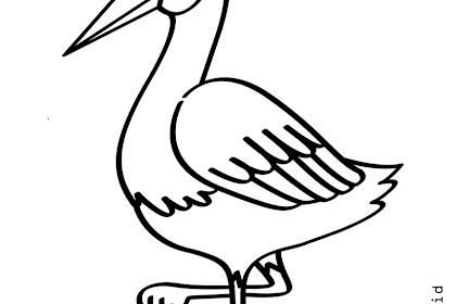 Semua Posting Tentang Mewarnai Gambar Burung Bangau Ada Dihalaman
