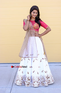 Actress Pooja Jhaveri Latest Picture Gallery  0013
