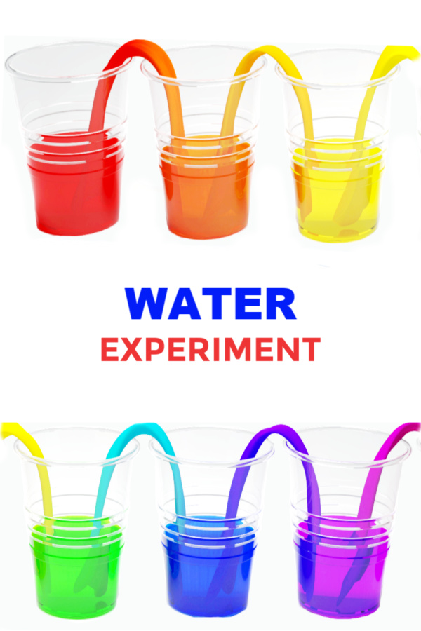 Make water walk with this easy and fun science experiment!  Kids will be in awe as they make a water rainbow right before their eyes! #walkingwaterexperiment #walkingwater #rainbowwater #rainbowwaterexperiment #rainbowwalkingwater #walkingwaterexperimentforkids #waterexperimentsforkids #walkingwaterrainbow #scienceexperimentskids #scienceforkids #growingajeweledrose