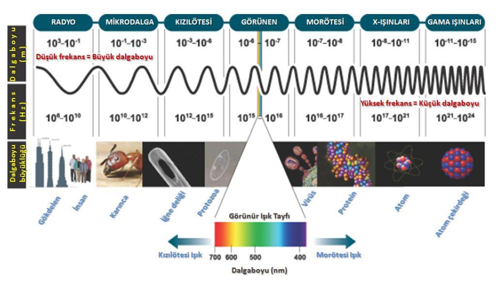 Bilinmeyenler Ve Gizli Gercekler World Facts 2016