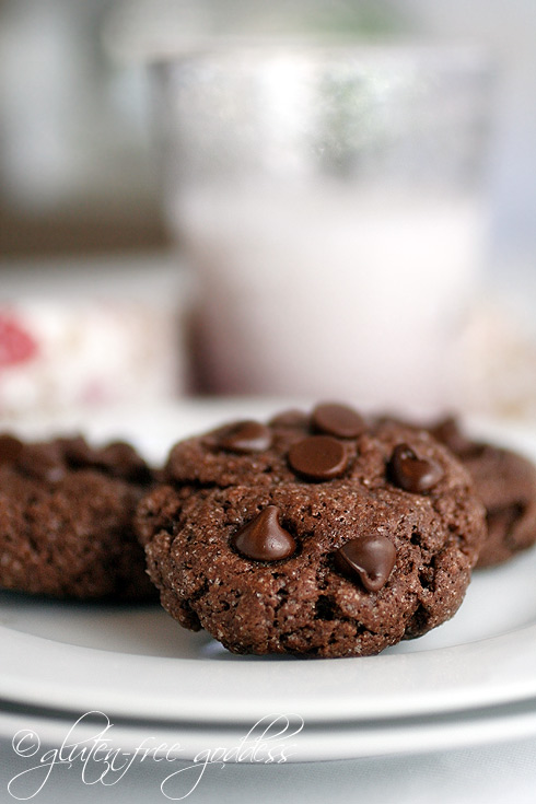Gluten free vegan chocolate cookies with chocolate chips