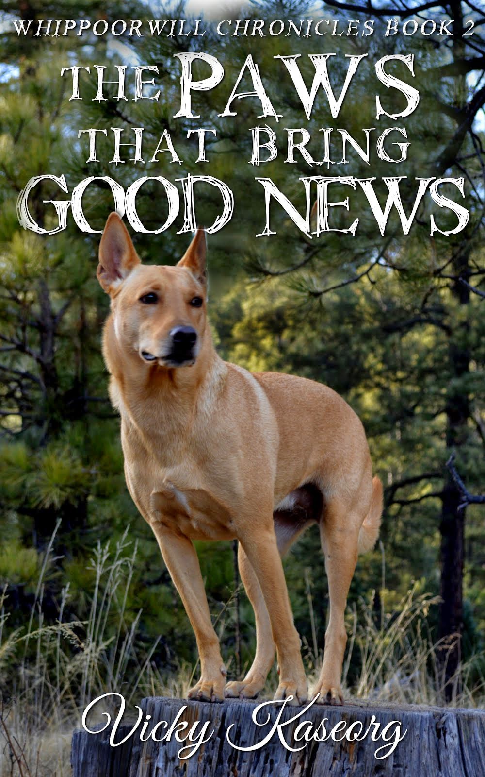 The Paws That Bring Good News
