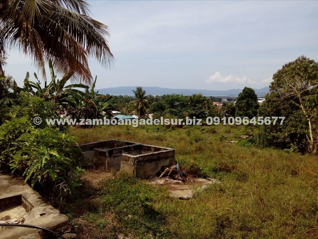 Zamboanga del Sur Properties FOR SALE HOUSE AND LOT AT PAGADIAN CITY