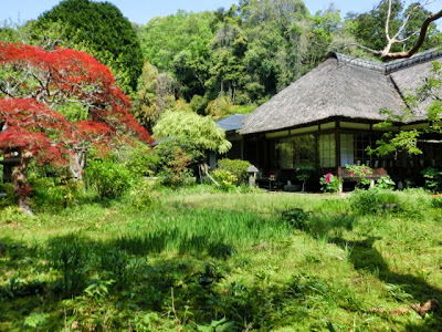 ��q���̐V��