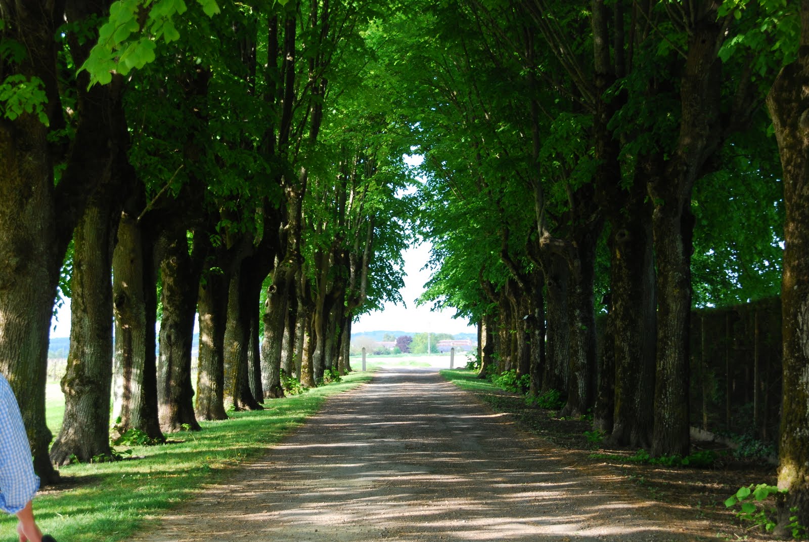 Mr. and Mrs. in PARIS French Wine Country Part Une