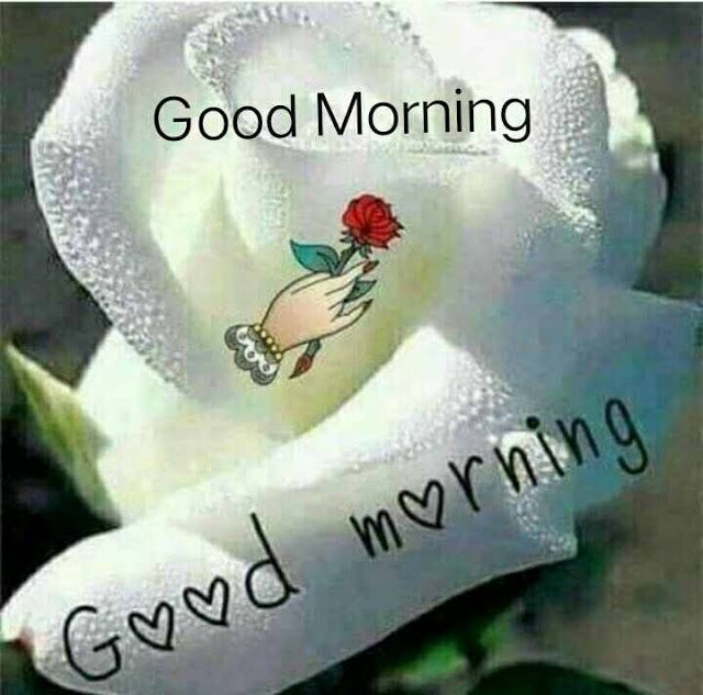 good morning sms with love