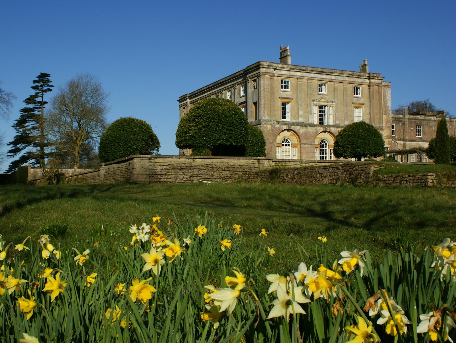 Gardens for a small Frome's Listed Gardens