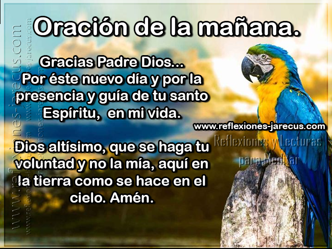 Oración de la mañana Gracias Padre Dios por este nuevo día y por la presencia y guía de tu santo espíritu en mi vida. Dios altísimo, que se haga tu voluntad y no la mía, aquí en la tierra como se hace en el cielo. Amén
