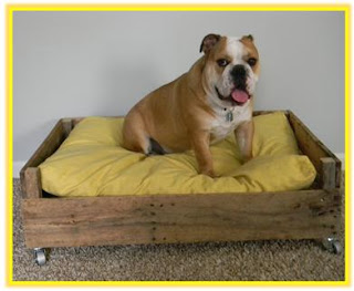 cómo hacer una cama para perro, como hacer una cama de perro, como reciclar tarimas, como hacer una cama para mi cachorro, como hacer una cama de madera para perro, como hacer una cama cómo para perro gato, una cama para gato, una cama para perro con madera, como hacer una cama fácil con madera, como reciclar tarimas, como reciclar mis tarimas, que puedo hacer con una tarima de madera, proyectos con reciclaje de tarimas, muebles para perros, como hacer muebles para perros, como le puedo hacer su cama a mi perro