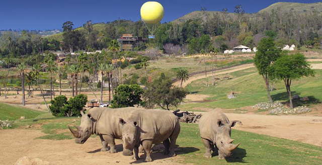 San Diego Zoo Safari Park San Diego Zoo Safari Park