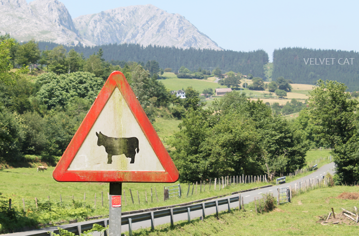 Hoy compartimos tiempo de verano fotografía