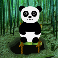 BigEscapeGames Bamboo Forest Panda Rescue