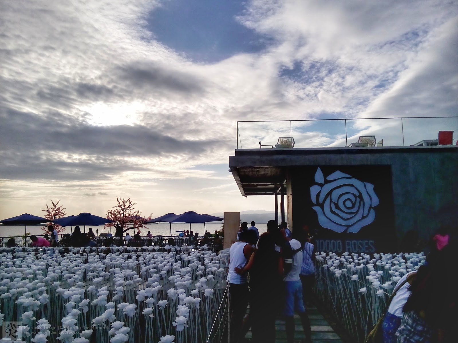 A TRIP TO 10000 ROSES CAFE